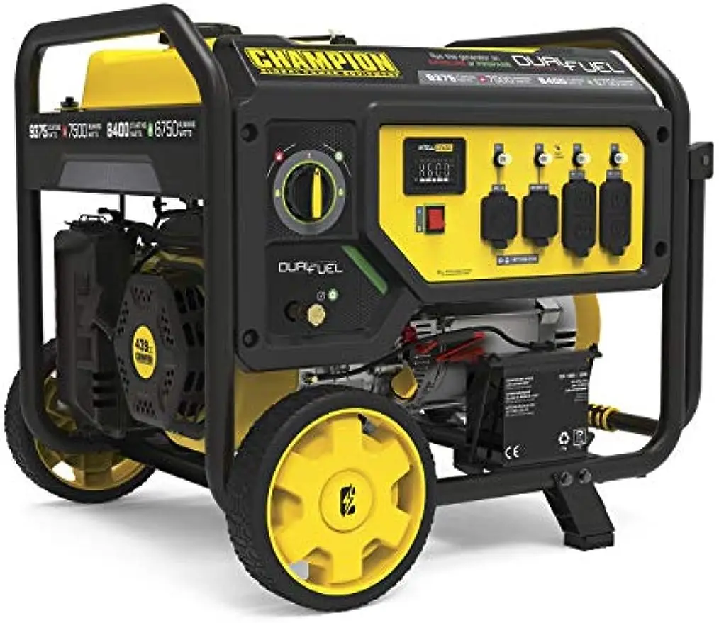 Champion 100891 dual fuel portable generator